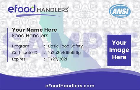 health card requirements|Issuance of Health Card to Food Handler and Steward.